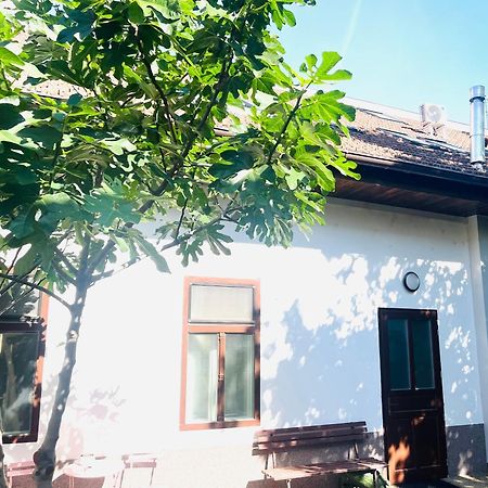 Jokai Apartman Komarno Luaran gambar